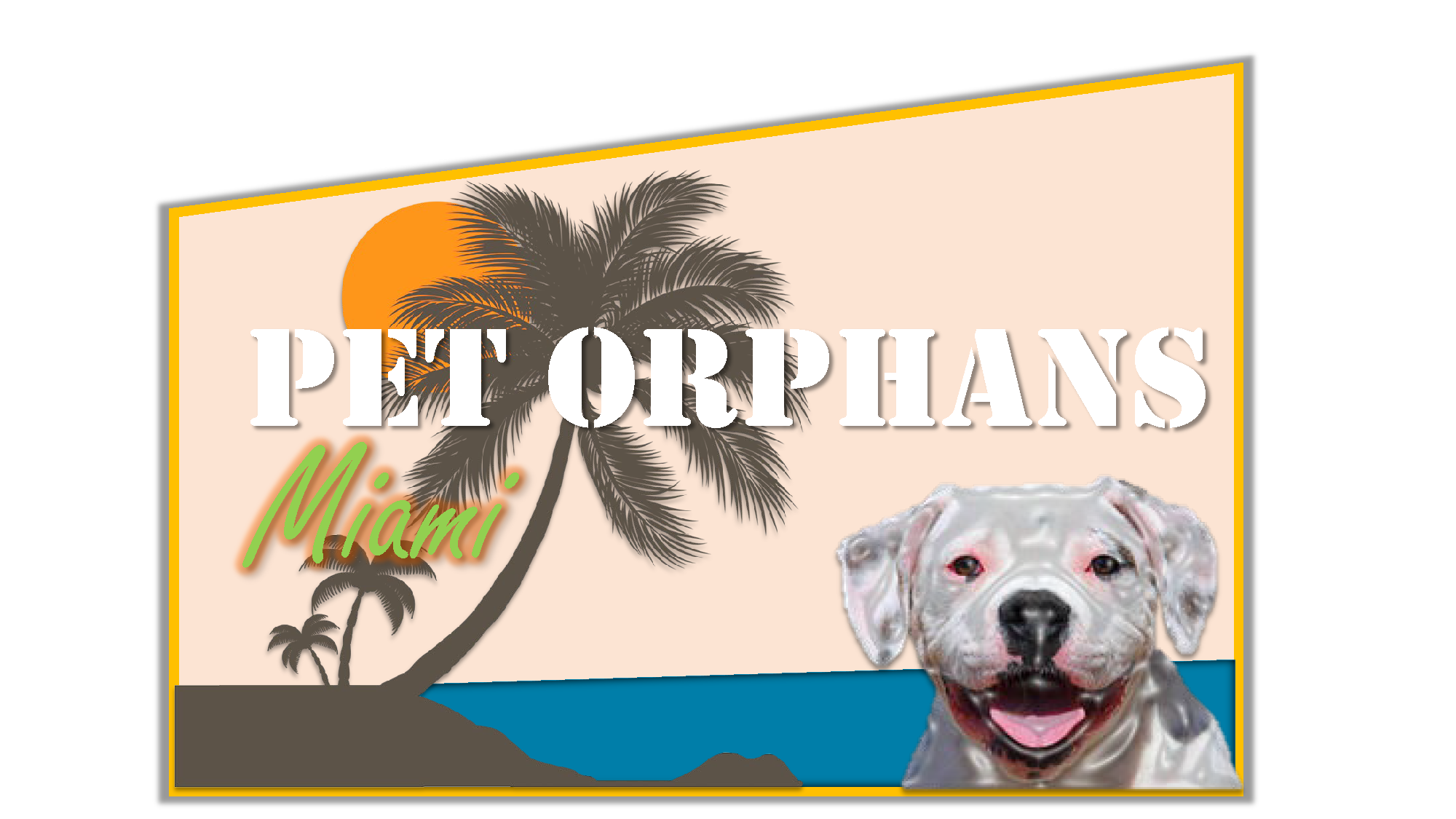 Pet Orphans Miami Because Everyone Deserves a Home