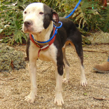 DSC00626 2261115 E1698726277623