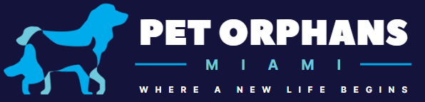 Pet Oprhans Miami